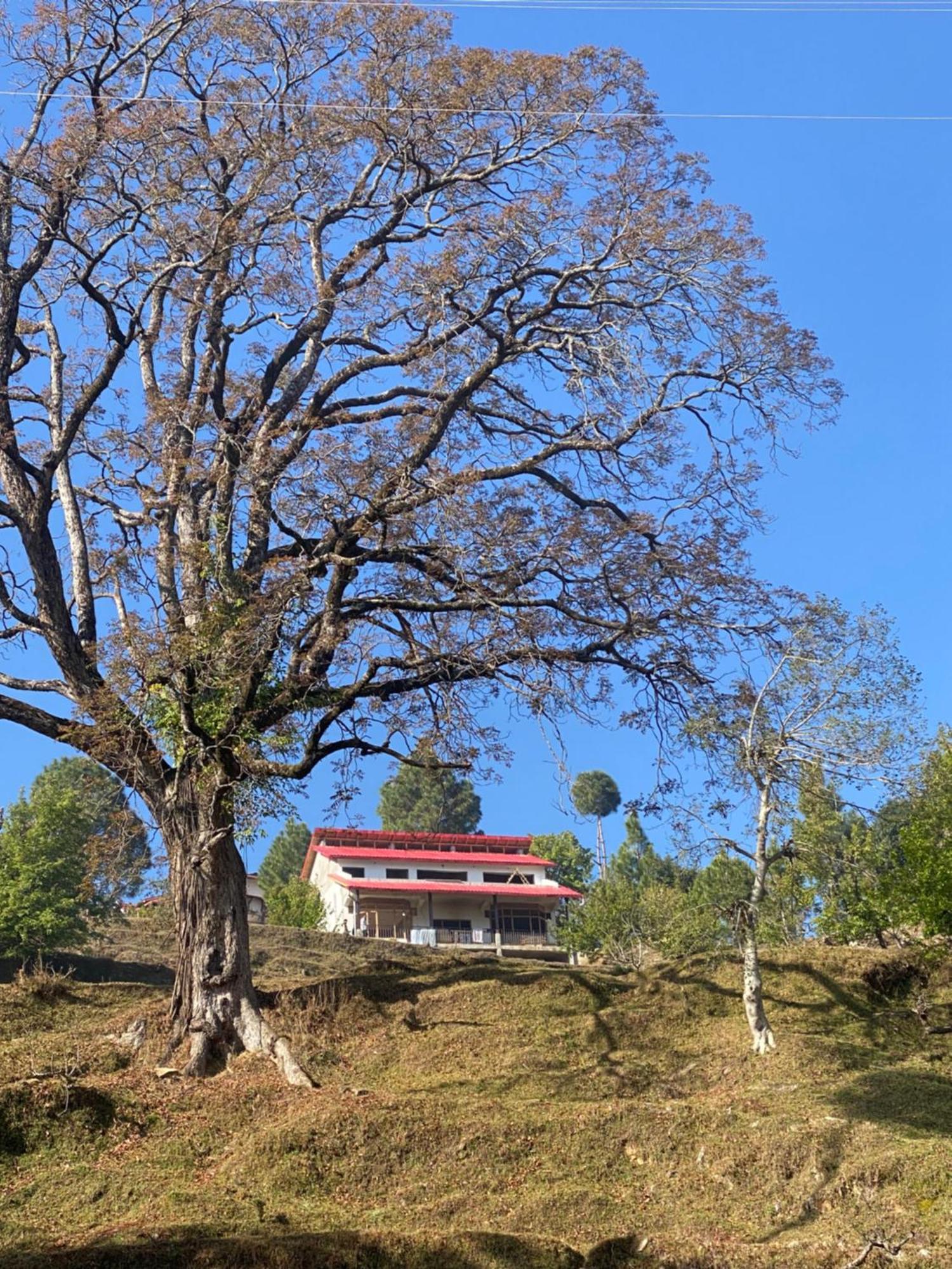 Little Frida- The Dak Bungalows Mukteshwar Luaran gambar